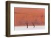 Simplicity of the Beauty-Marco Tagliarino-Framed Photographic Print
