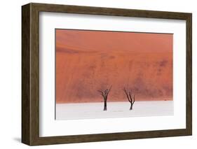 Simplicity of the Beauty-Marco Tagliarino-Framed Photographic Print