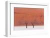 Simplicity of the Beauty-Marco Tagliarino-Framed Photographic Print