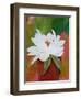 Simplicity-Ruth Palmer-Framed Art Print