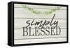 Simply Blessed-Kimberly Allen-Framed Stretched Canvas