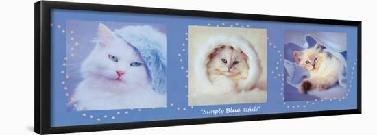 Simply Bluetiful-Rachael Hale-Framed Poster