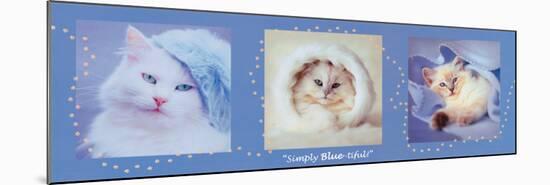 Simply Bluetiful-Rachael Hale-Mounted Poster