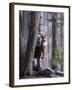 Simply Curious II-Kevin Daniel-Framed Art Print