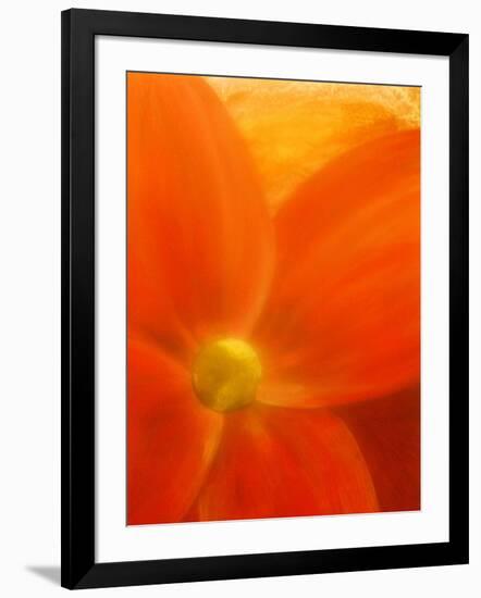 Simply Elegant-Ruth Palmer 2-Framed Art Print