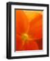 Simply Elegant-Ruth Palmer 2-Framed Art Print