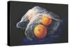 Simply Oranges-Tanja Ware-Stretched Canvas
