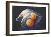 Simply Oranges-Tanja Ware-Framed Giclee Print