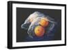 Simply Oranges-Tanja Ware-Framed Giclee Print