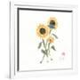 Simply Seeds I-Nan Rae-Framed Art Print