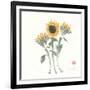 Simply Seeds II-Nan Rae-Framed Art Print