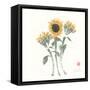 Simply Seeds II-Nan Rae-Framed Stretched Canvas