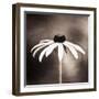 Simply Stated-Carolyn Cochrane-Framed Photographic Print