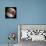 Simulated View of Mars-Stocktrek Images-Photographic Print displayed on a wall