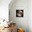 Simulated View of Mars-Stocktrek Images-Photographic Print displayed on a wall