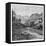 Sinai, Egypt, 1895-null-Framed Stretched Canvas