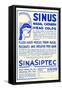 Sinaspitec Sinus-null-Framed Stretched Canvas