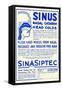 Sinaspitec Sinus-null-Framed Stretched Canvas