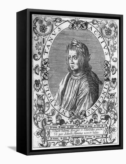 Sincerus Actius-Theodor De Brij-Framed Stretched Canvas