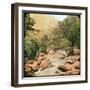 Sindh Valley, Kashmir, India, Late 19th or Early 20th Century-null-Framed Giclee Print