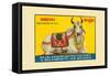 Sindhu-null-Framed Stretched Canvas