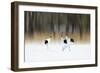 Sing a song of LOVE-Ikuo Iga-Framed Art Print