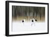 Sing A Song Of Love-Ikuo Iga-Framed Giclee Print