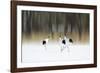 Sing A Song Of Love-Ikuo Iga-Framed Giclee Print