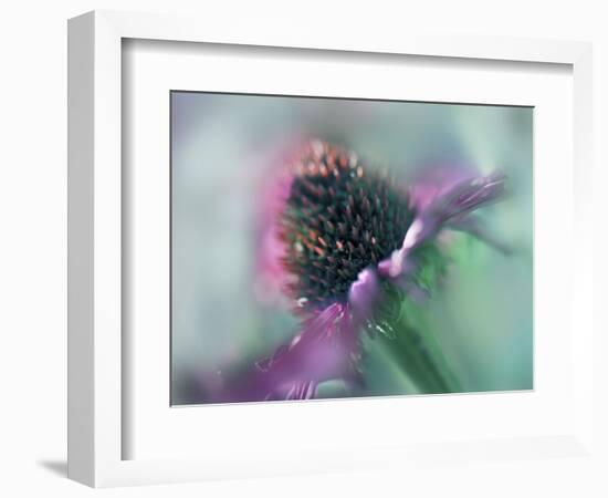 Sing to the Sun IV-Gillian Hunt-Framed Photographic Print
