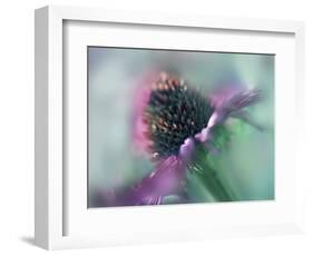Sing to the Sun IV-Gillian Hunt-Framed Photographic Print