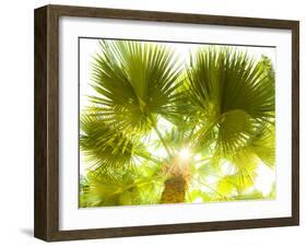 Singapore Botanic Gardens, Singapore-Jon Arnold-Framed Photographic Print