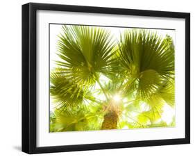 Singapore Botanic Gardens, Singapore-Jon Arnold-Framed Photographic Print