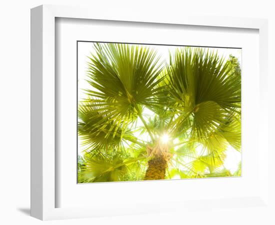 Singapore Botanic Gardens, Singapore-Jon Arnold-Framed Photographic Print