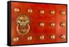 Singapore, Chinatown, Buddha Tooth Relic Temple, Gate Detail-Walter Bibikow-Framed Stretched Canvas