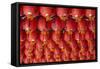 Singapore, Chinatown, Thian Hock Keng Temple, Chinese Red Lanterns-Walter Bibikow-Framed Stretched Canvas