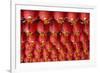 Singapore, Chinatown, Thian Hock Keng Temple, Chinese Red Lanterns-Walter Bibikow-Framed Photographic Print