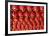 Singapore, Chinatown, Thian Hock Keng Temple, Chinese Red Lanterns-Walter Bibikow-Framed Photographic Print