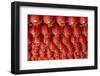 Singapore, Chinatown, Thian Hock Keng Temple, Chinese Red Lanterns-Walter Bibikow-Framed Photographic Print