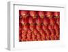 Singapore, Chinatown, Thian Hock Keng Temple, Chinese Red Lanterns-Walter Bibikow-Framed Photographic Print