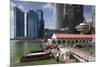 Singapore, City Skyline by the Marina Reservoir-Walter Bibikow-Mounted Premium Photographic Print
