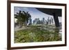 Singapore, City Skyline by the Marina Reservoir-Walter Bibikow-Framed Photographic Print