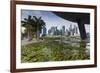 Singapore, City Skyline by the Marina Reservoir-Walter Bibikow-Framed Photographic Print