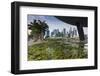 Singapore, City Skyline by the Marina Reservoir-Walter Bibikow-Framed Photographic Print