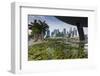 Singapore, City Skyline by the Marina Reservoir-Walter Bibikow-Framed Photographic Print