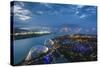 Singapore, Dawn-Walter Bibikow-Stretched Canvas