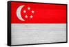 Singapore Flag Design with Wood Patterning - Flags of the World Series-Philippe Hugonnard-Framed Stretched Canvas