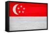 Singapore Flag Design with Wood Patterning - Flags of the World Series-Philippe Hugonnard-Framed Stretched Canvas