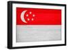 Singapore Flag Design with Wood Patterning - Flags of the World Series-Philippe Hugonnard-Framed Premium Giclee Print