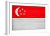 Singapore Flag Design with Wood Patterning - Flags of the World Series-Philippe Hugonnard-Framed Premium Giclee Print