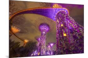 Singapore. Garden by the Sea Towers at Night-Jaynes Gallery-Mounted Premium Photographic Print